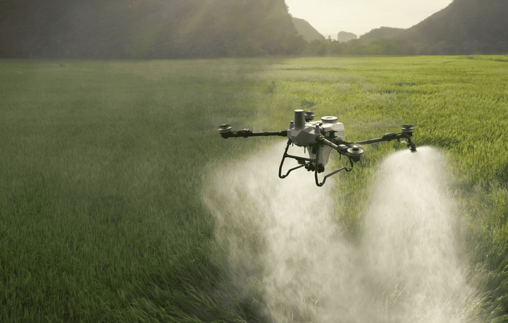 Dron fumigando cultivos