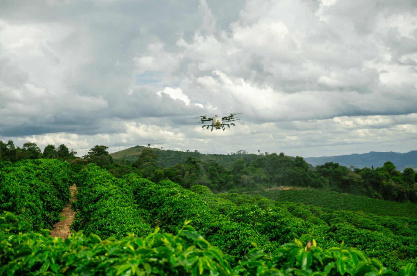 Dron fumigando sobre campo de cultivo