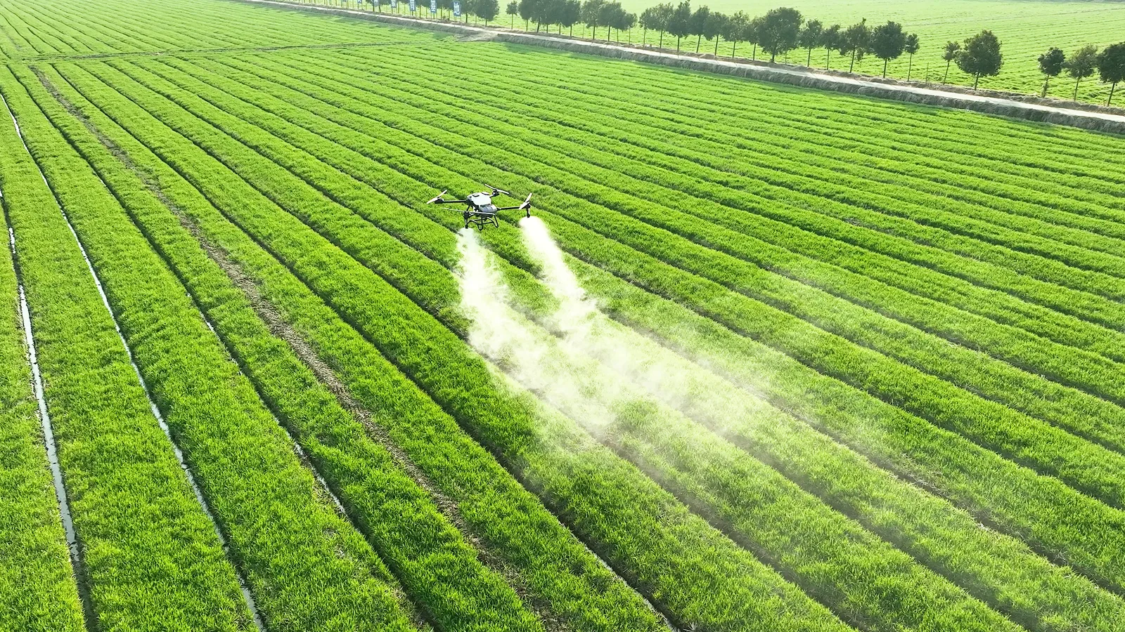 Dron agrícola sobrevolando un cultivo